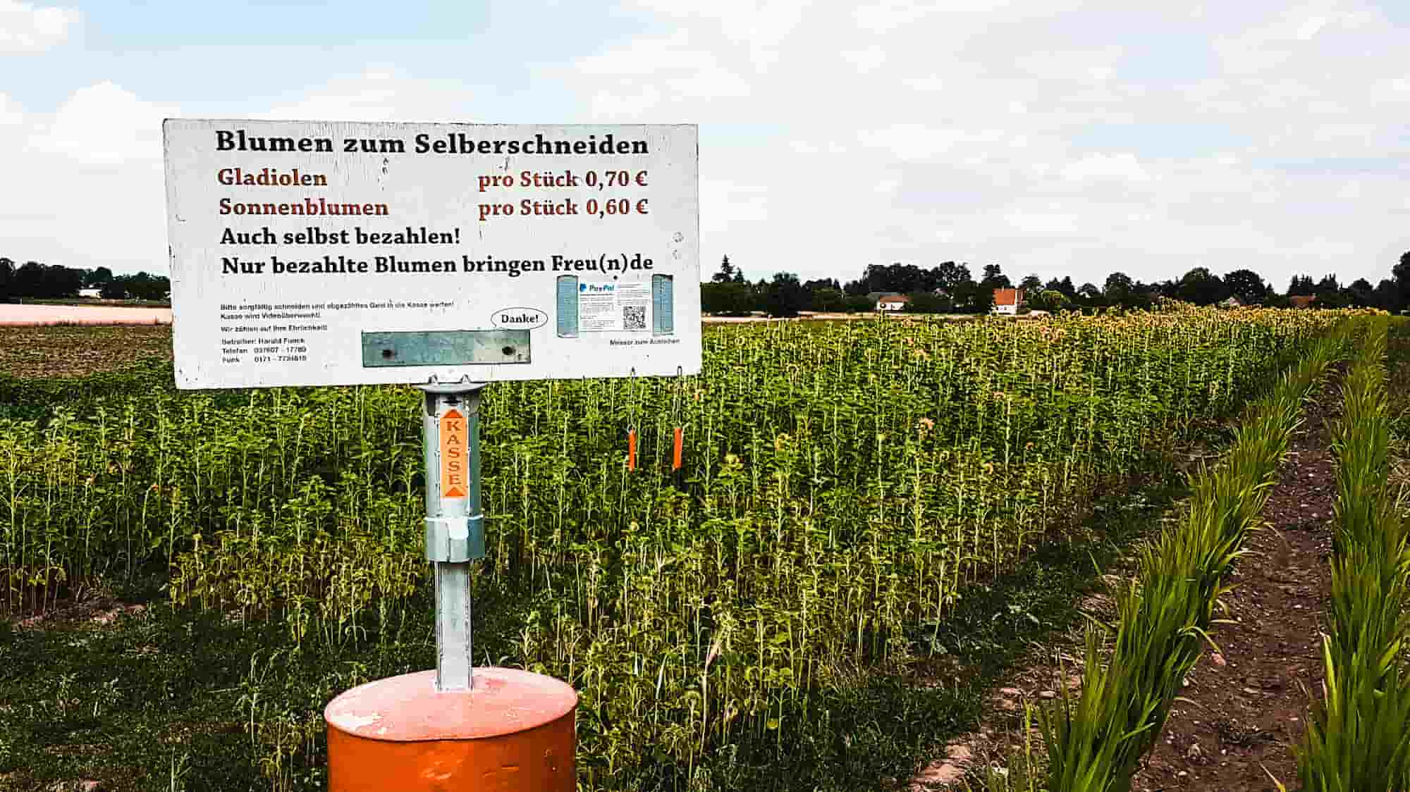 Holzhausen, Leipzig: Blumen zum selber Schneiden