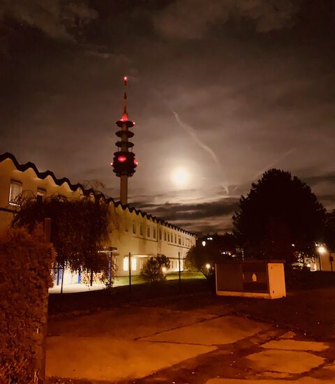 holzhausen-leipzig-funkturm-waeldchen-foto-berndreiher